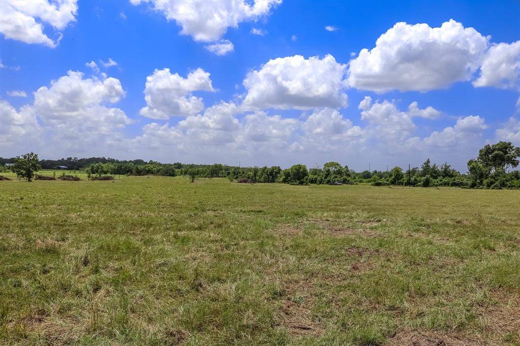 Anderson, TX 77830,Lot 2 County Rd 219