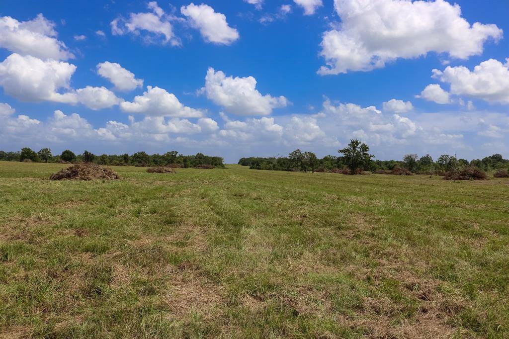 Anderson, TX 77830,Lot 2 County Rd 219