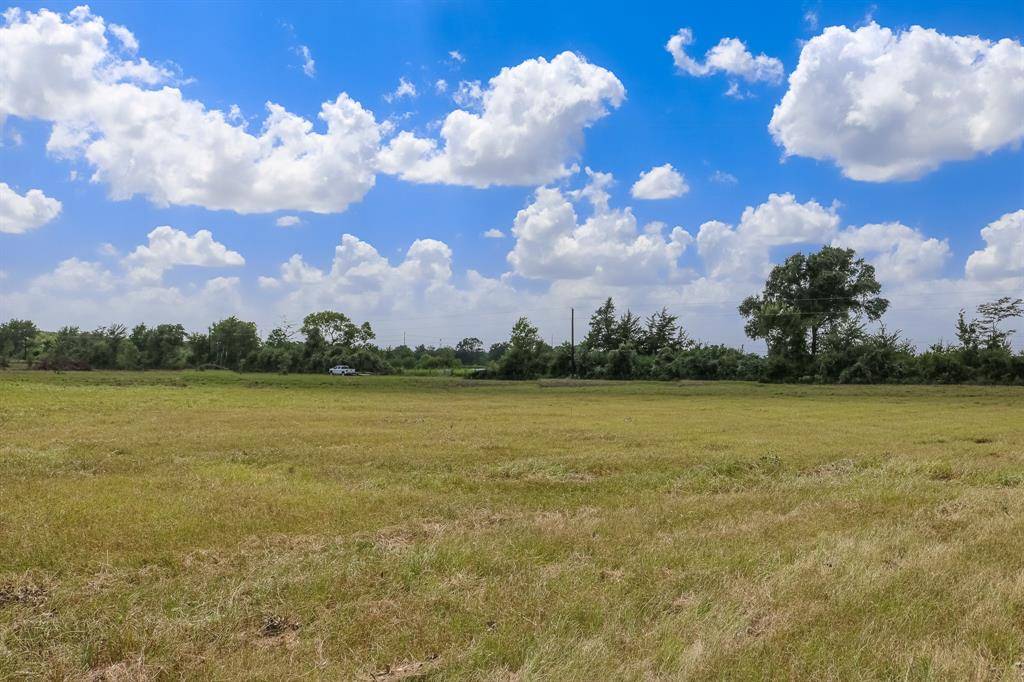 Anderson, TX 77830,Lot 2 County Rd 219