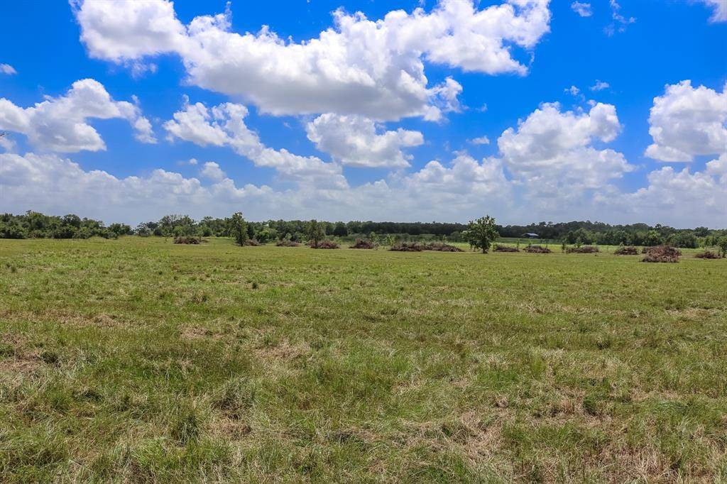 Anderson, TX 77830,Lot 2 County Rd 219