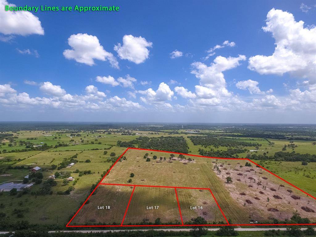 Anderson, TX 77830,Lot 2 County Rd 219