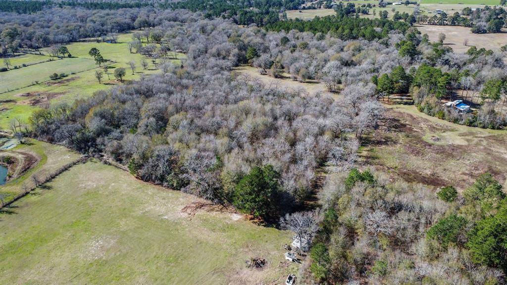 Bedias, TX 77831,TBD County Road 147