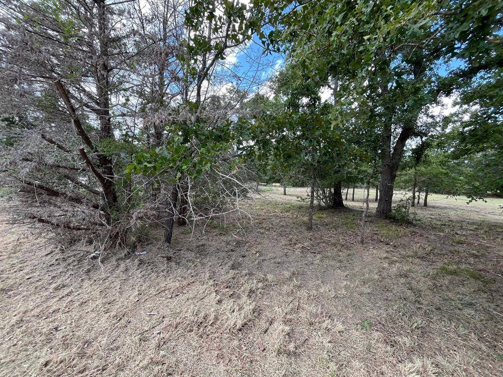 Somerville, TX 77879,TBD Lot 33 Apache Drive N