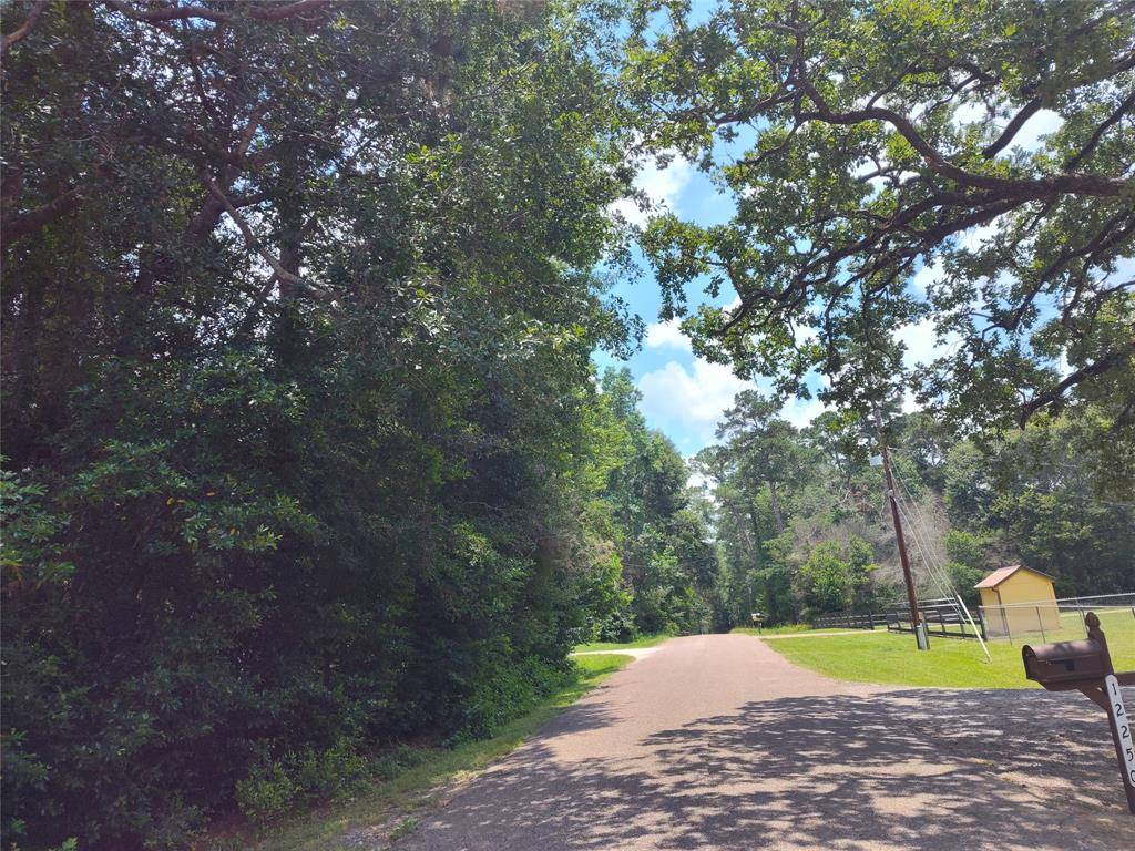 Conroe, TX 77303,TBD Rollingwood loop LOOP