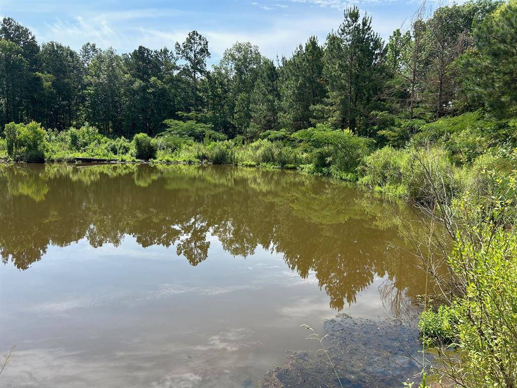 Pollok, TX 75969,0000 Old Wells Hwy