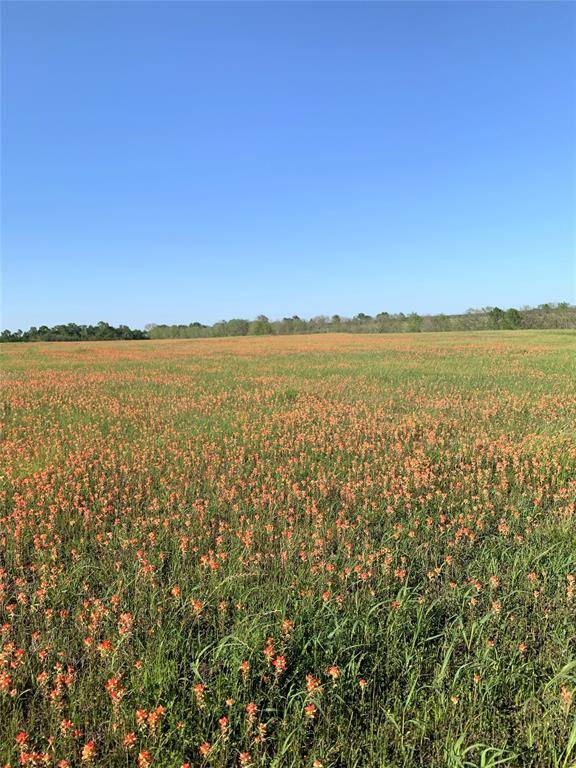 Anderson, TX 77830,TBD County Road 215