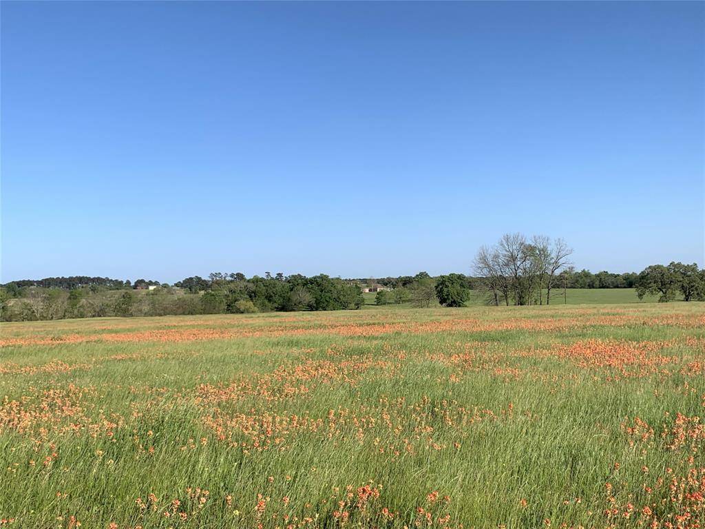 Anderson, TX 77830,TBD County Road 215