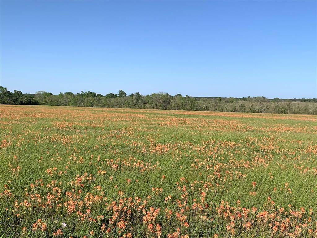 Anderson, TX 77830,TBD County Road 215