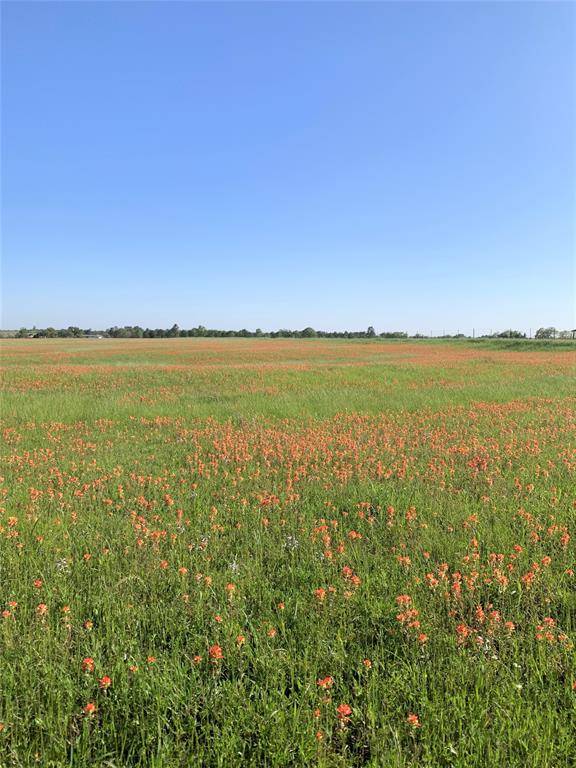 Anderson, TX 77830,TBD County Road 215