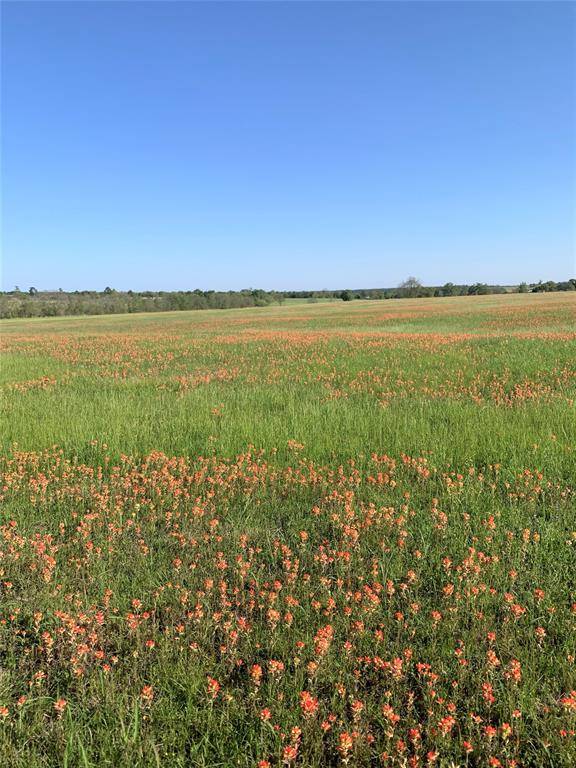 Anderson, TX 77830,TBD County Road 215