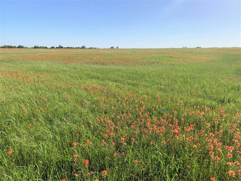 Anderson, TX 77830,TBD County Road 215