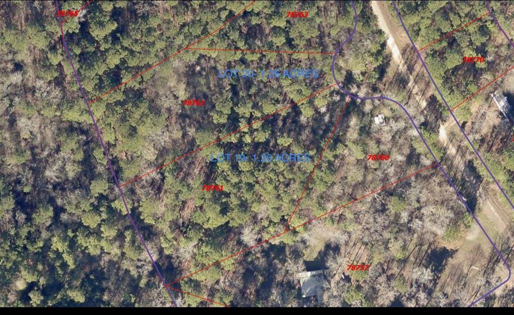 Coldspring, TX 77331,TBD Lot 20 Tall Timbers DR