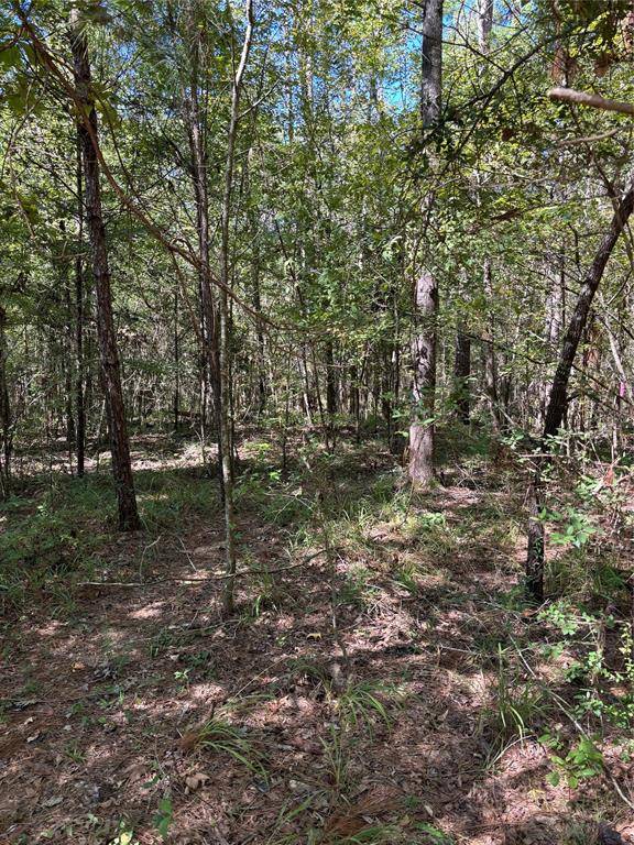 Coldspring, TX 77331,TBD Lot 20 Tall Timbers DR