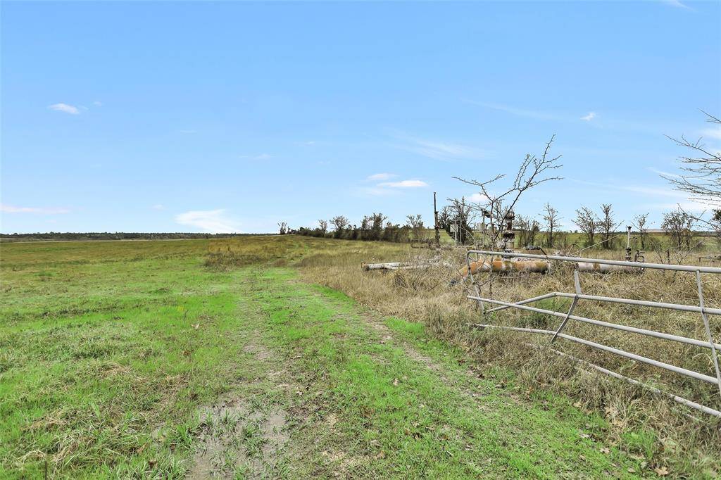 Anderson, TX 77830,000 County Road 210