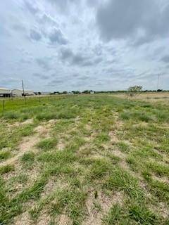 Seadrift, TX 77983,Block 161 W Cleveland - lot 11 AVE