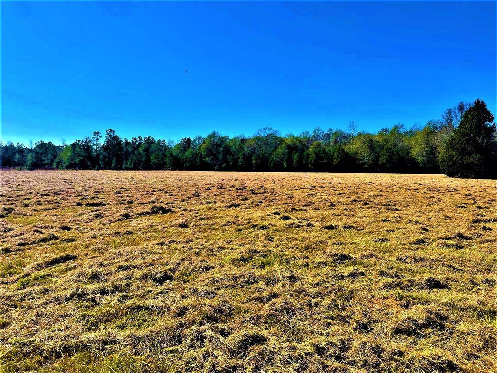 Woodville, TX 75979,25 Acres County Road 4355