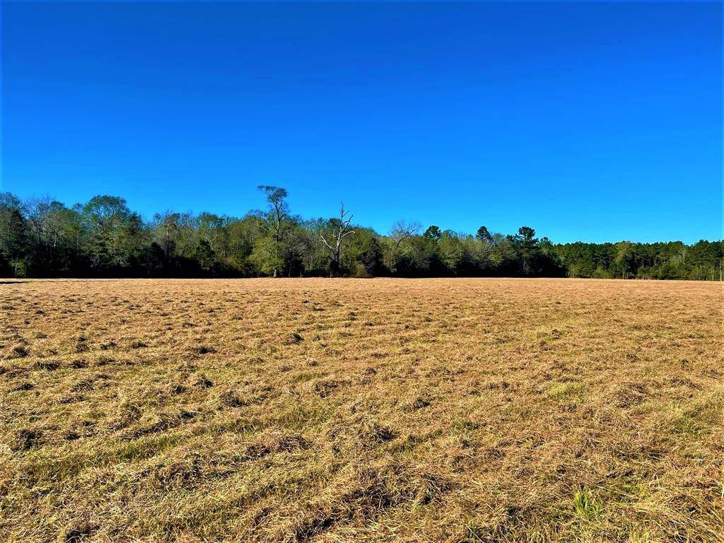 Woodville, TX 75979,25 Acres County Road 4355