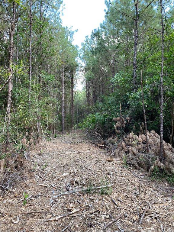 Kountze, TX 77625,19853 Ghost RD