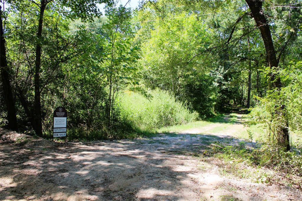 Point Blank, TX 77364,TBD Wilderness RD