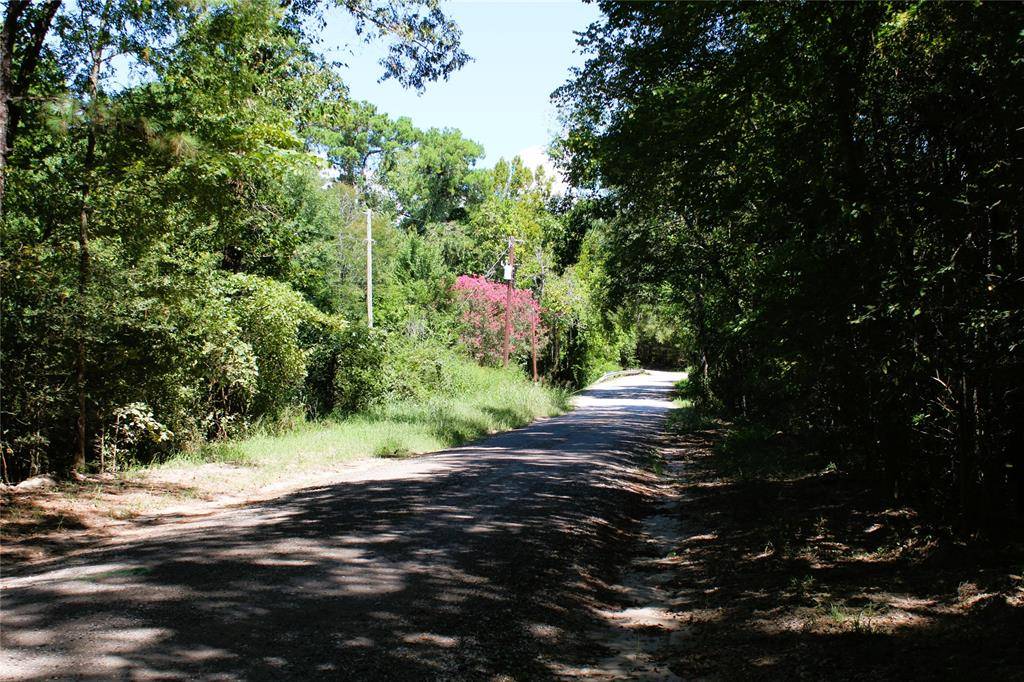 Point Blank, TX 77364,TBD Wilderness RD