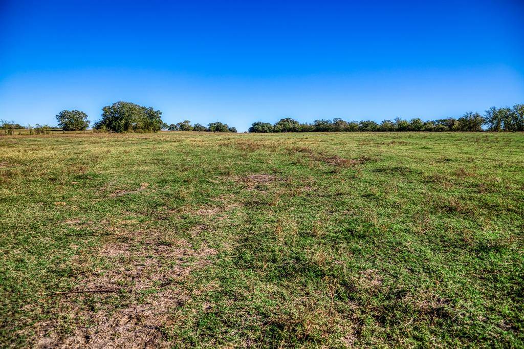 Brenham, TX 77833,05 Sawmill Road Tract 5