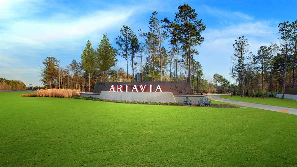 Conroe, TX 77302,18459 Chameleon CT