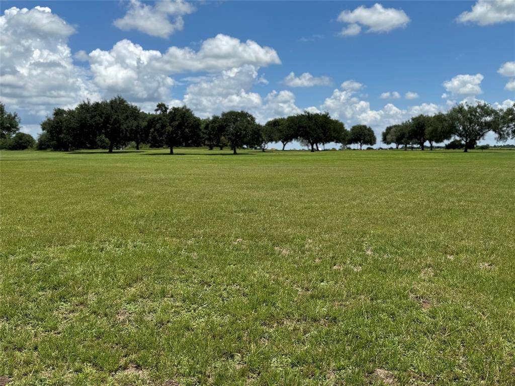 Hempstead, TX 77445,320 Mavanelle CV