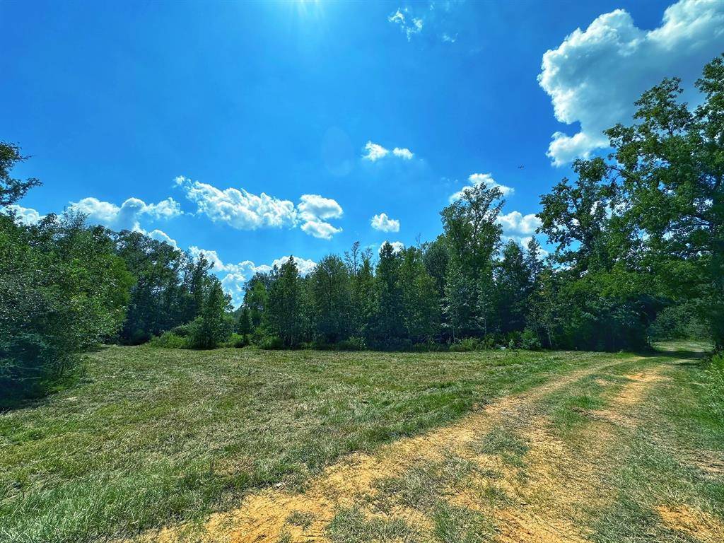 Buffalo, TX 75831,59 ac CR 278