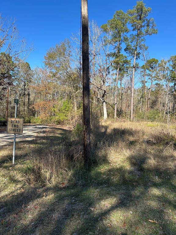 Livingston, TX 77351,Tbd Fir
