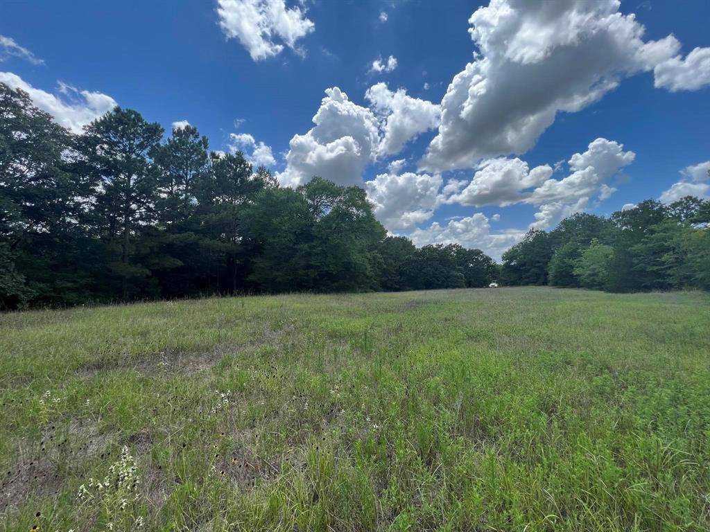 Navasota, TX 77868,0002 County Road 407