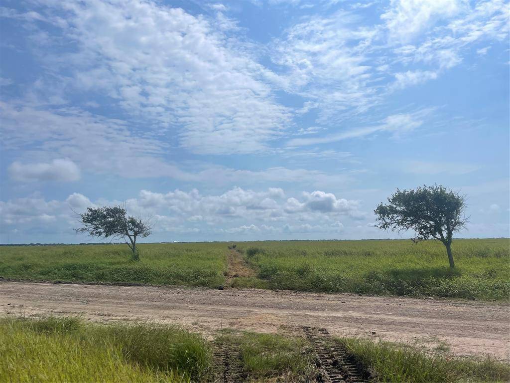 Port Lavaca, TX 77979,Lot 180 DRIFTWOOD SHORES