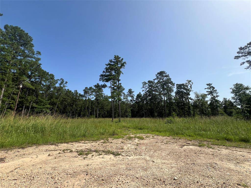Livingston, TX 77351,9537 State Highway 146 S