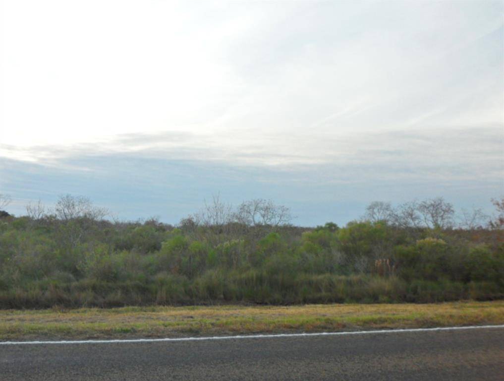 Smith Point, TX 77514,TBD HWY 562