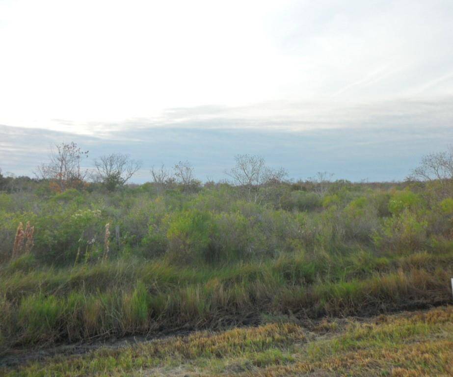 Smith Point, TX 77514,TBD HWY 562