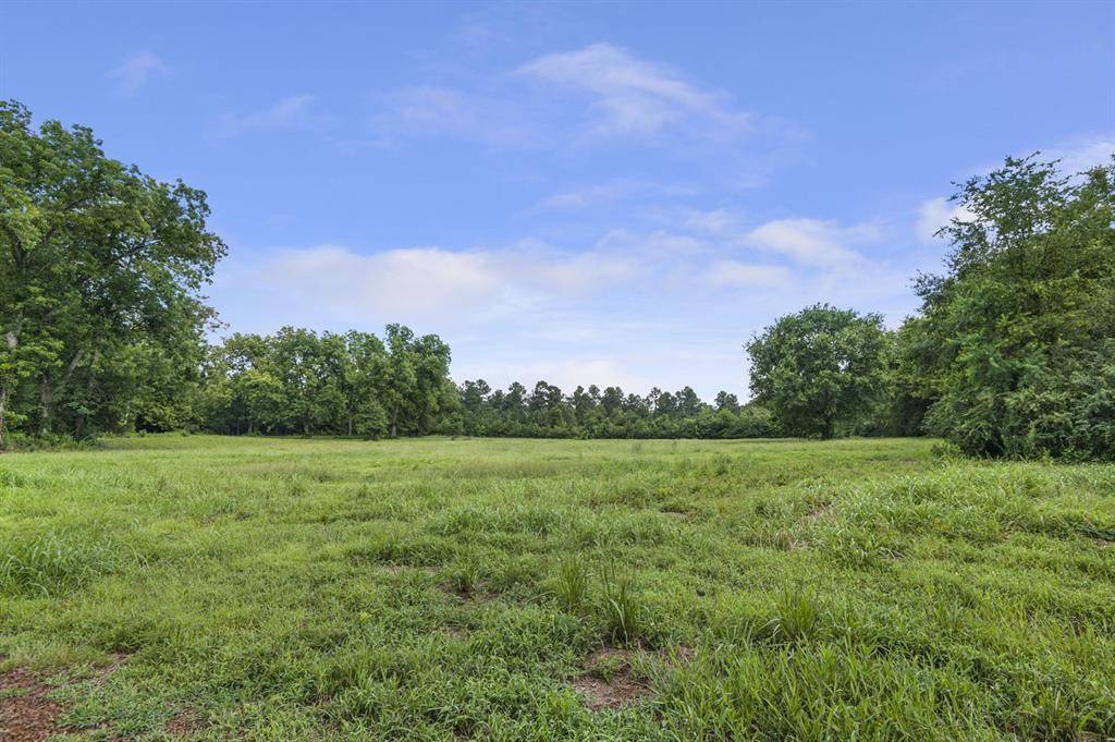 Alto, TX 75925,TBD- Lot 7 County Road 2801