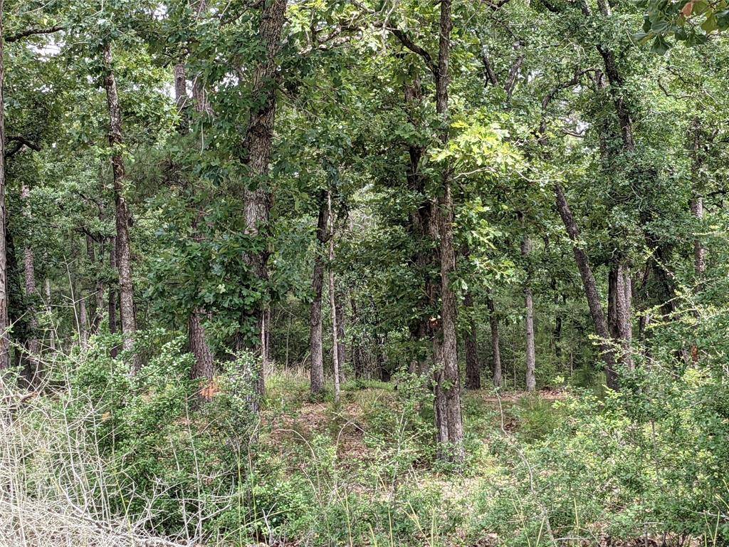 Huntsville, TX 77320,TBD Houston Lot 209 DR