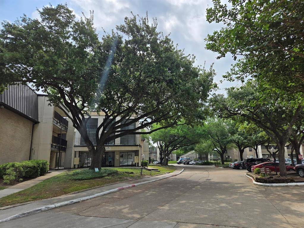 Houston, TX 77042,3005 Walnut Bend LN #32