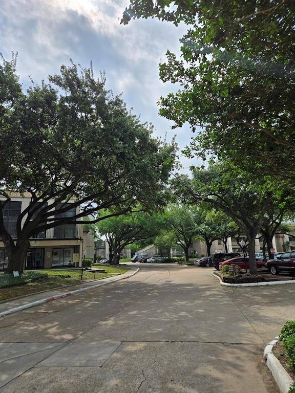 Houston, TX 77042,3005 Walnut Bend LN #32