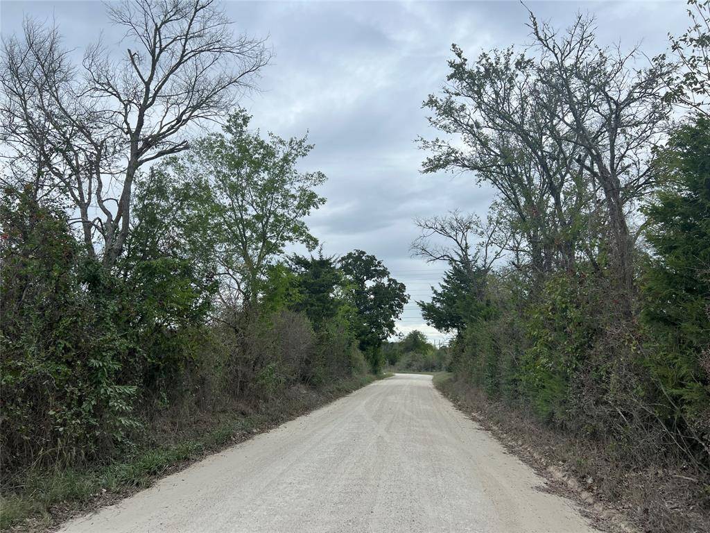 Iola, TX 77861,Lot 5 County Road 166