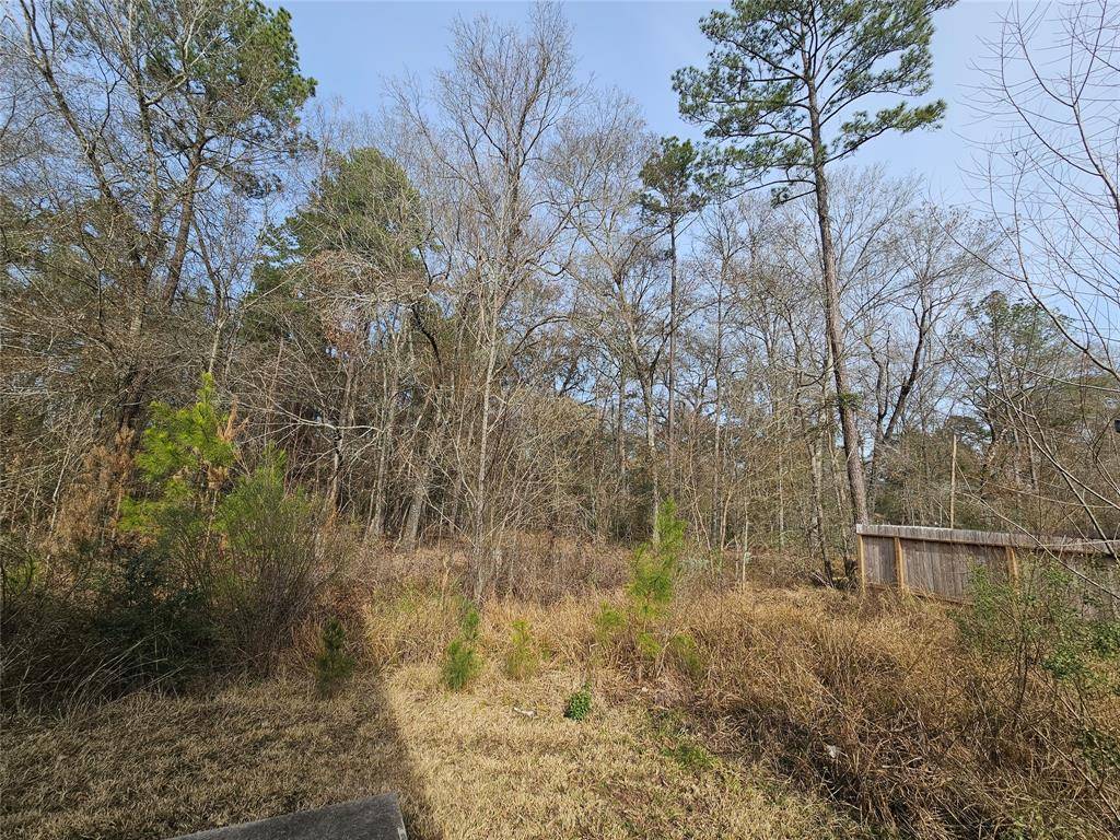 New Caney, TX 77357,0 Roman Forest Blvd