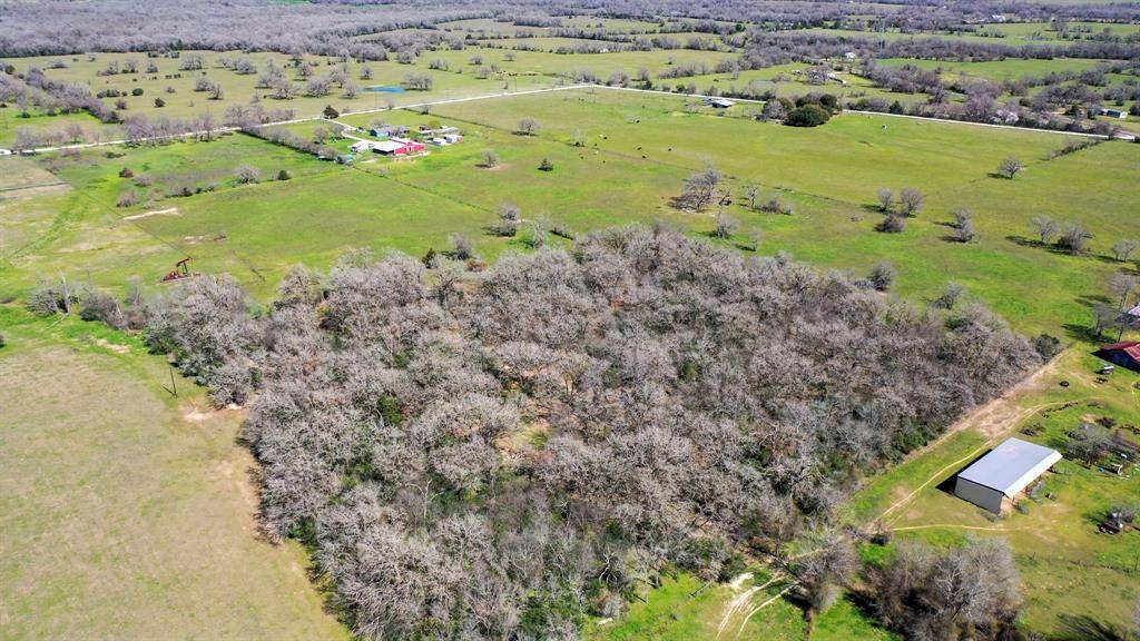 Madisonville, TX 77864,14 AC Halliday LN