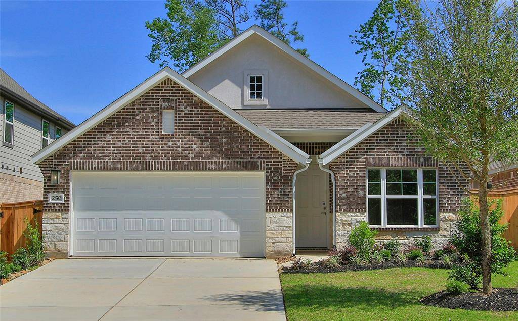 Willis, TX 77318,250 Brecon Buff DR