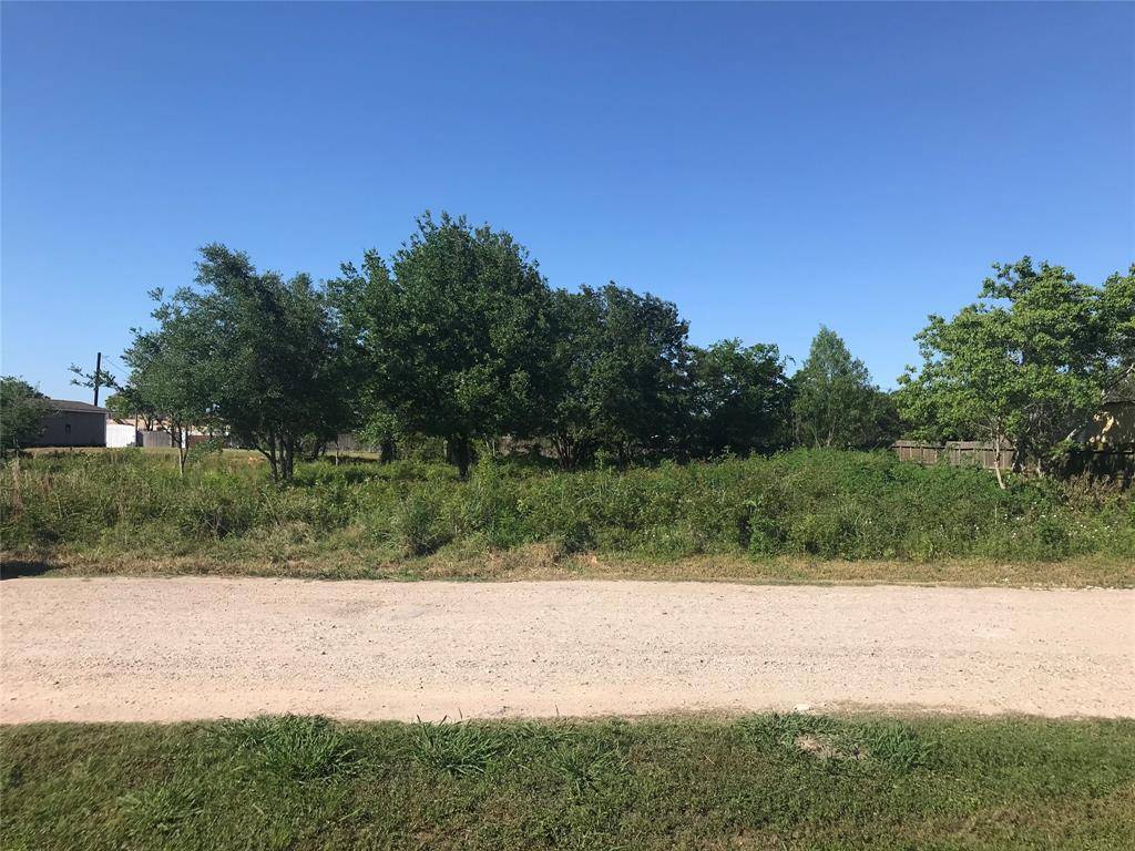 Rosharon, TX 77583,1 Loop DR