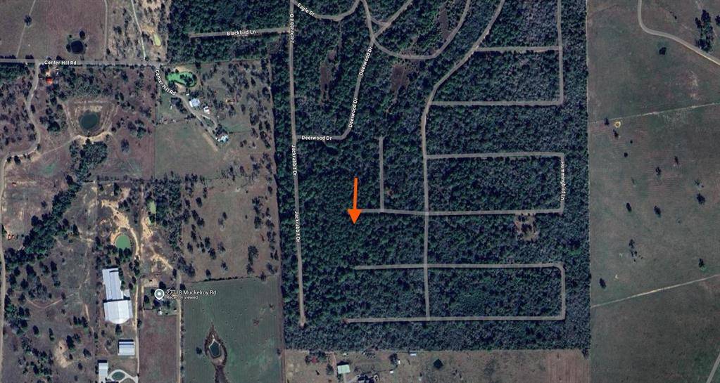 Hempstead, TX 77445,TBD 00 Hummingbird LN