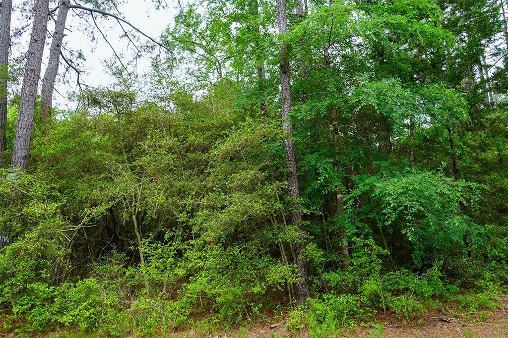 Plantersville, TX 77363,Lot 29 Smokethorn Lane