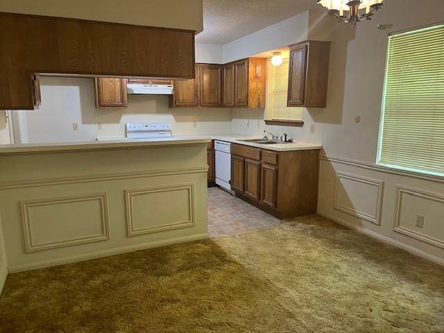 Lake Jackson, TX 77566,54 Blackgum CT