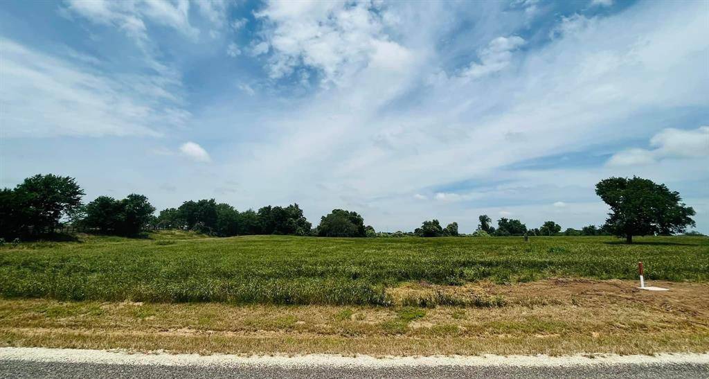 Chappell Hill, TX 77426,1141 Bluebonnet Ridge DR