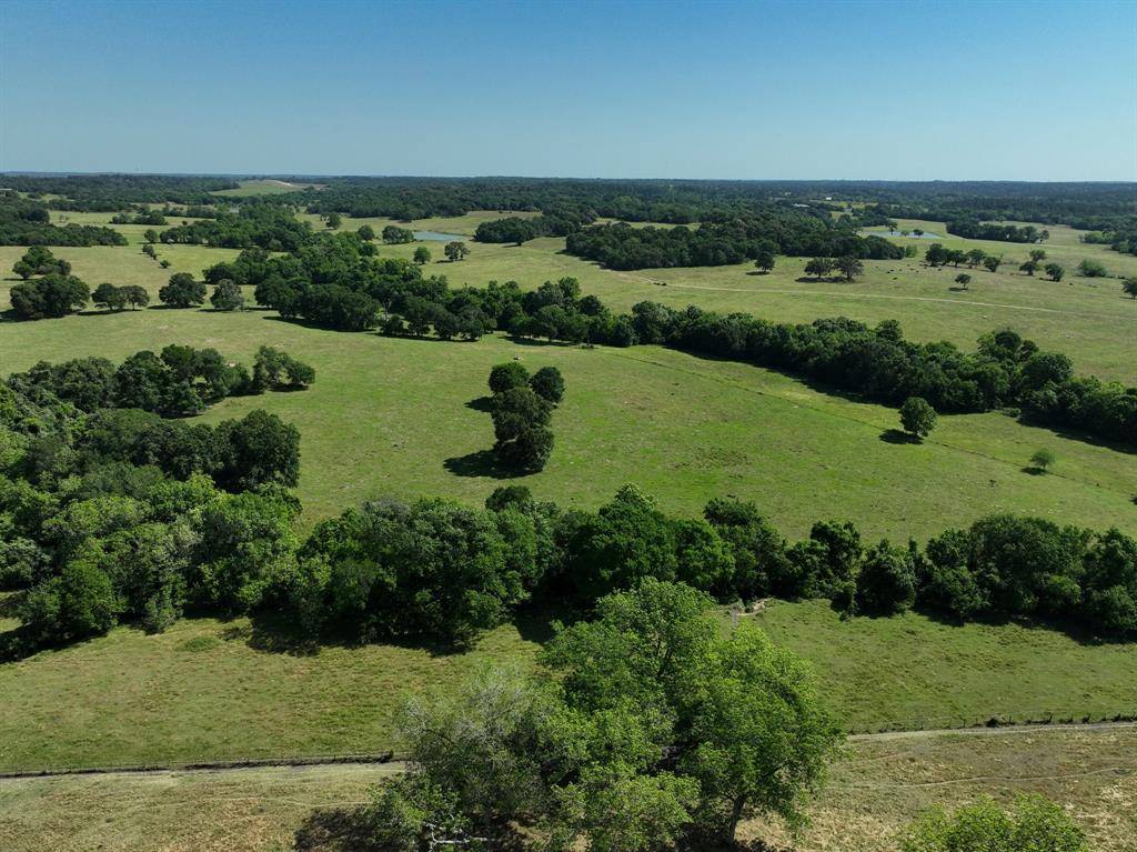 Navasota, TX 77868,00006 CR 305 RD