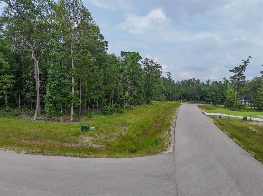 Willis, TX 77378,106 Eagle Run RD
