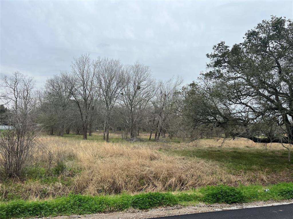 Rosharon, TX 77583,0 Fenn Rd